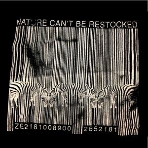 Graphic T-Shirt - Men’s Large